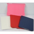 Ipad mini Case PY2